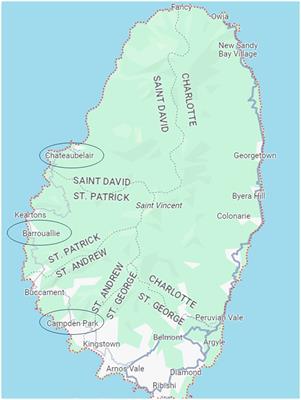 The double burden of COVID-19 and a major volcanic eruption on local food production and food security in a Small Island Developing State